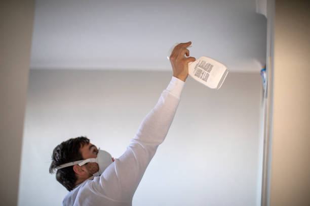 Best Basement Mold Remediation in Madison, IN